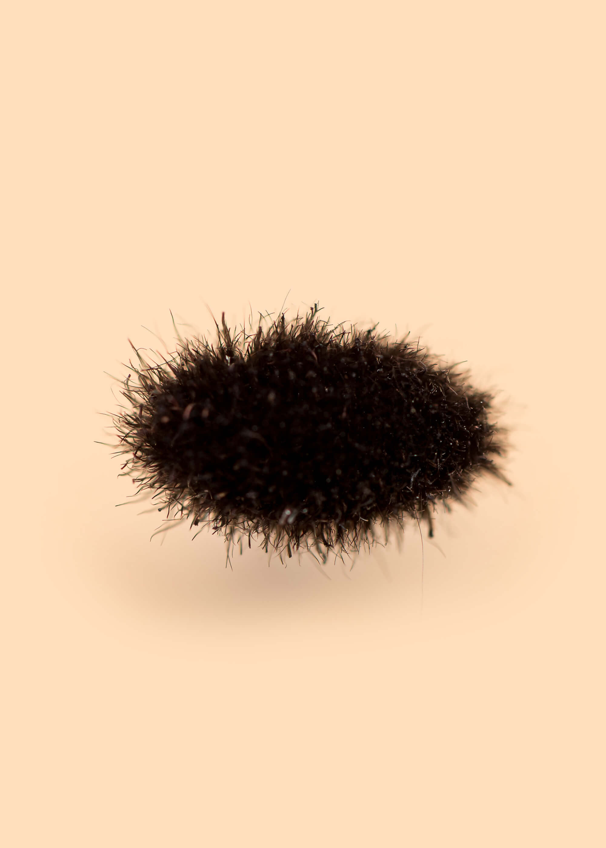 C08